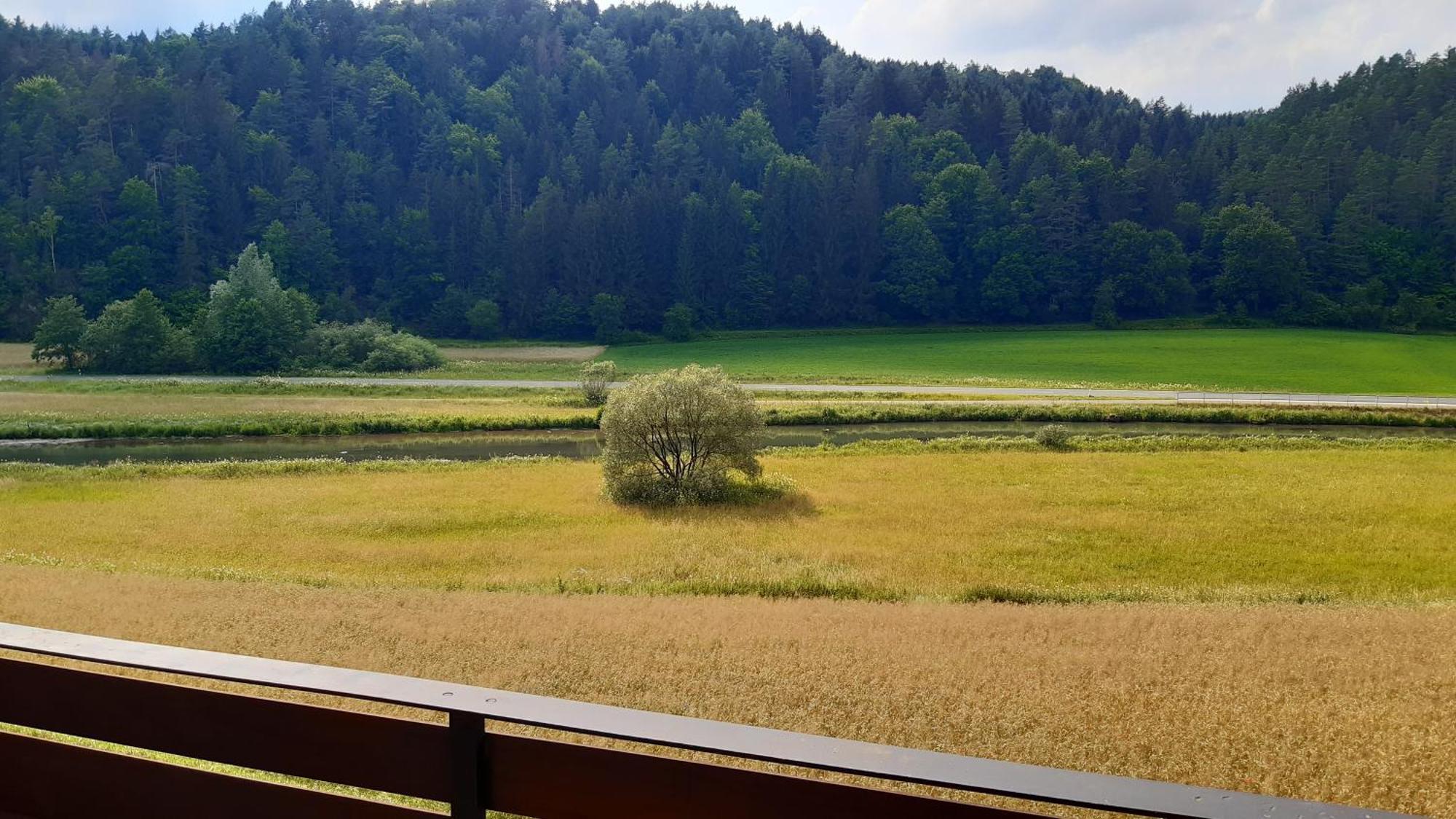 Waldpension Rabeneck Waischenfeld Zewnętrze zdjęcie