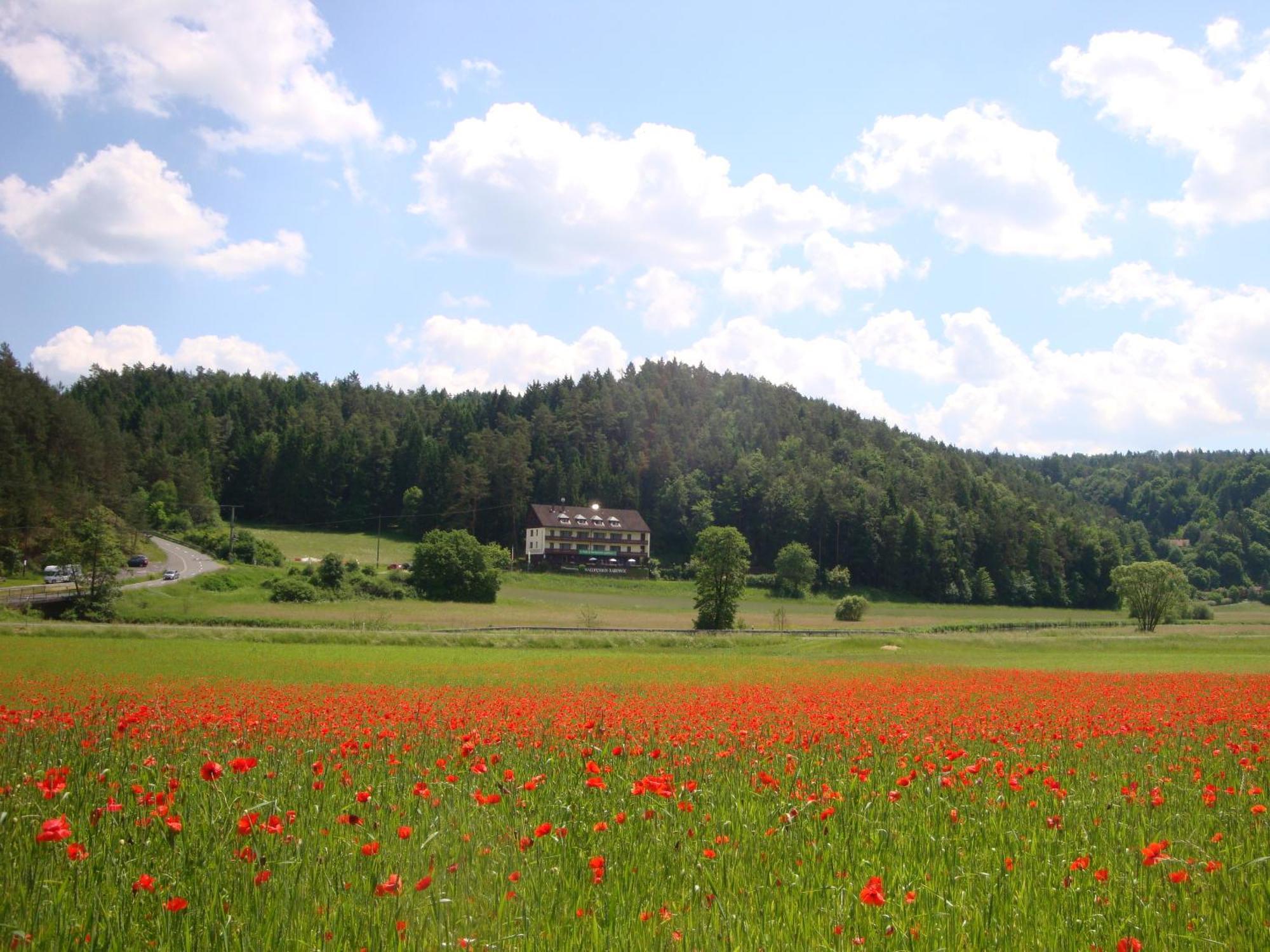 Waldpension Rabeneck Waischenfeld Zewnętrze zdjęcie